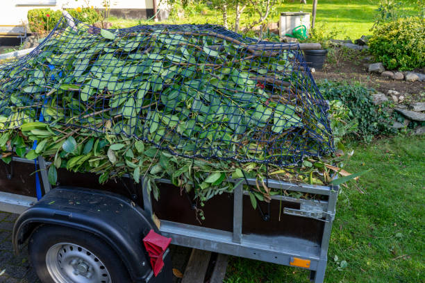 Best Residential Junk Removal  in Bromley, KY